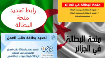 فلوسك أسرع.. تجديد منحة البطالة 2025 بالجزائر بالخطوات السهلة للمستفيدين