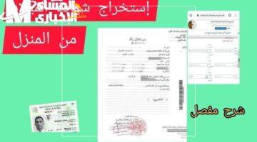 مشوارك خلص.. شهادة ميلادك بقت رقمية في الجزائر اعرف إزاي تستلمها وأنت في بيتك إلكترونياً