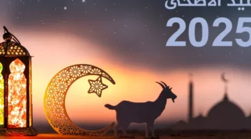الكل بيحسبها.. الأيام المتبقية لعيد الأضحى 2025 في سوريا واليمن.. عد تنازلي دقيق