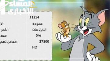 رجعت أيامنا.. قناة توم وجيري تعيد سحر الطفولة وضحكاتها النقية