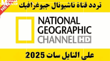 عوالم جديدة في بيتك.. برامج ناشيونال جيوغرافيك لعالم الحيوان رحلة استثنائية من المتعة والإثارة