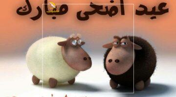 ميعاد الفرحة.. موعد عيد الأضحى 2025 في مصر والسعودية والإمارات