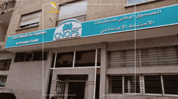 متقولش معرفش.. رابط التسجيل الجديد في كنوبس المغرب 2025 فتح رسميًا بشروط قوية وخطوات واضحة