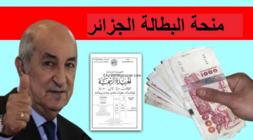 وداعاً للقلق.. منحة البطالة في الجزائر 2025 دعم فوري في الأوقات الصعبة