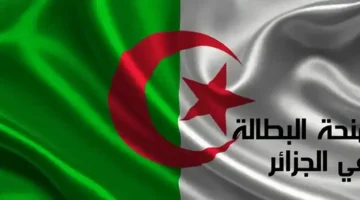 اضمن مستقبلك.. خطوات التسجيل في منحة البطالة 2025 بالجزائر بثقة تامة