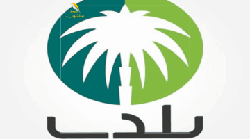 منصة بلدي 1 800x600 1