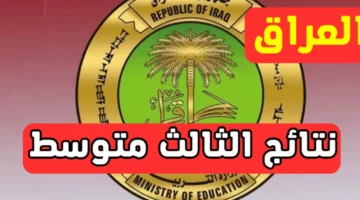 اللحظة المنتظرة.. ظهرت الآن نتائج الصف الثالث الإعدادي 2025 الدور الأول بجميع المحافظات بأسماء الطلاب كاملة
