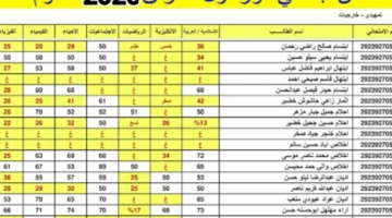الفرحة قربت.. رابط نتائج الصف السادس الابتدائي الدور الأول 2025 في العراق