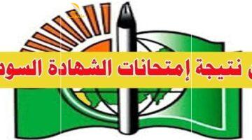 جهز رقم جلوسك.. نتيجة الشهادة السودانية 2025 ورابط استعلام رسمي ومباشر