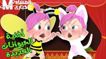 ولادك هيرقصوا.. وناسة بيبي الجديدة تملأ منزلك بالضحك والبهجة طوال اليوم بأغانيها التي لا مثيل لها.