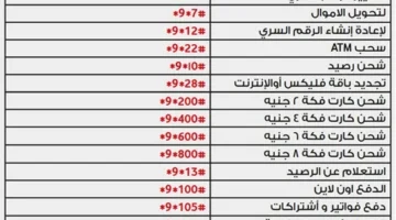 ازاي اعرف رصيدي كام في فودافون كاش.webp