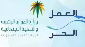شروط قرض العمل الحر للعاطلين.webp
