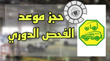 أبشر حجز موعد الفحص الدوري في السعودية.. تعرف على التفاصيل الكاملة