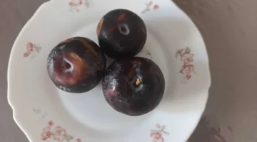 فوائد صحية مذهلة.. اكتشف لماذا يجب أن تضيف الخوخ إلى نظامك الغذائي