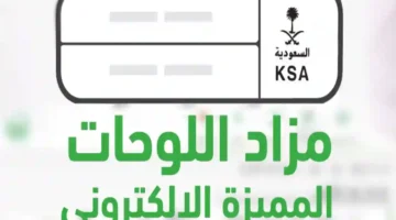 13 08 25 806162538.webp