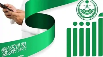 13 08 25 944745228.webp