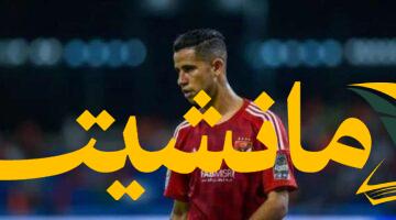 13506160251734407441