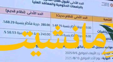 17542189782366156678951848649208