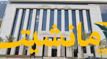 فرصة ذهبية.. وظائف بالإمارات براتب يصل 160 ألف جنيه، آخر موعد الخميس