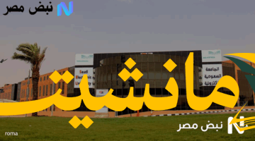هام.. الجامعة السعودية الإلكترونية: اختبارات نهائية موحدة لجميع التخصصات