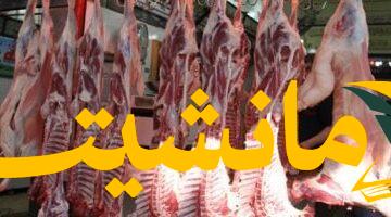 هام.. أسعار اللحوم في جزارات الأقصر ومنافذ التموين اليوم الخميس