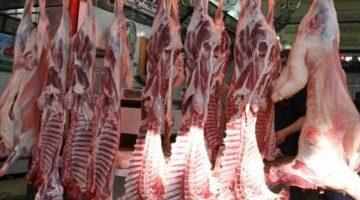 1754669396 202506020429222922