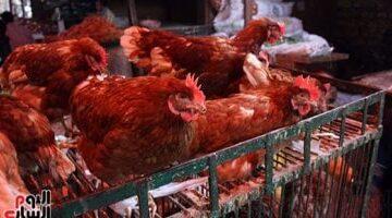 1754726173 202412100659375937