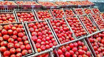 1754738415 202503161122512251