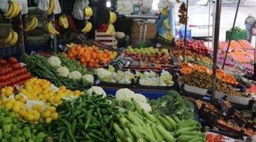 انخفاض مفاجئ.. أسعار الفاكهة بأسواق مطروح اليوم الأحد 10-8-2025 | التين بـ30 جنيهاً