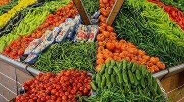 انخفاض مفاجئ.. أسعار الخضروات اليوم الأحد 10-8-2025 في أسواق مطروح: البصل بـ 15 جنيهًا
