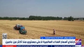 قفزة غير مسبوقة.. أسعار الغذاء العالمية تسجل أعلى مستوى بسبب الجفاف وقلة المعروض