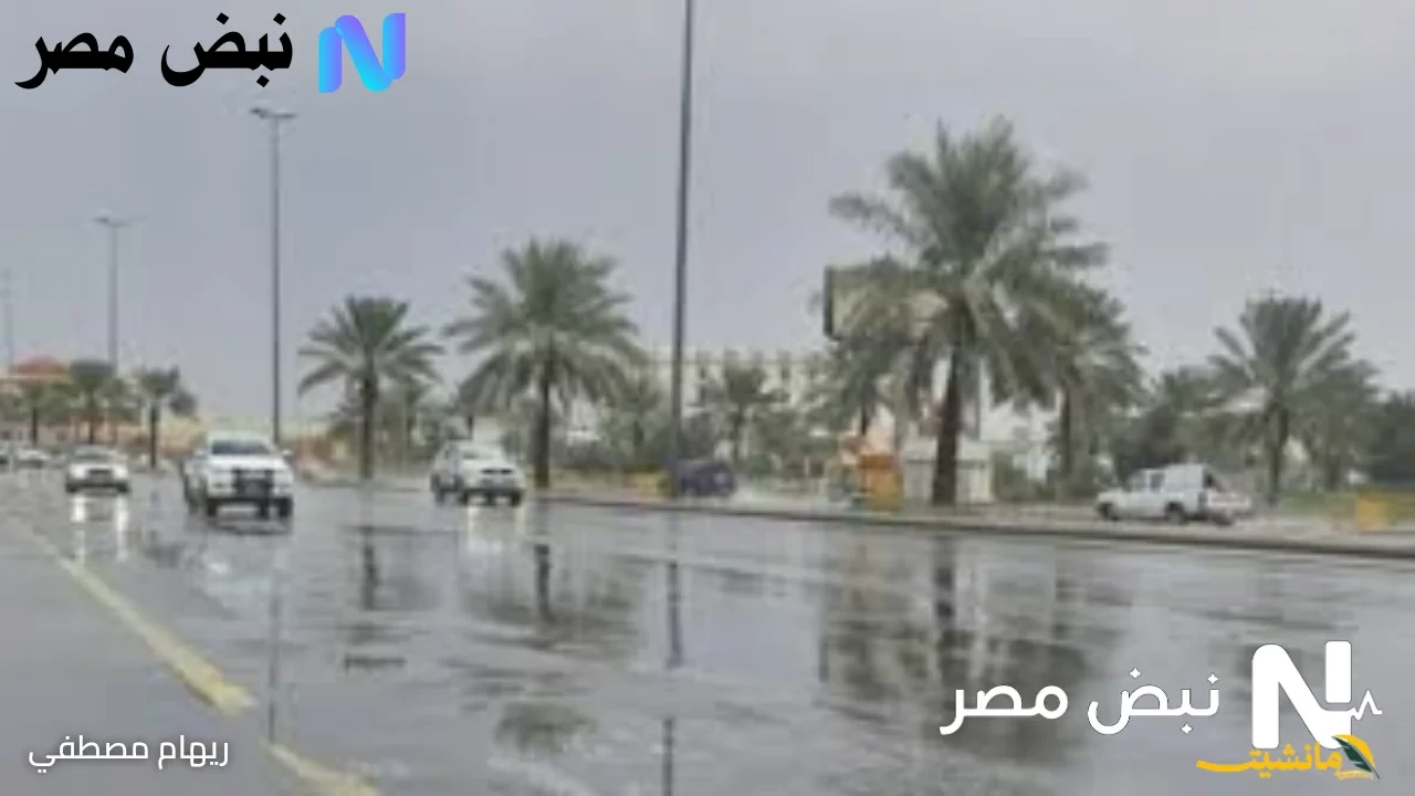 تنبيهات هامة.. حالة الطقس اليوم في السعودية: أمطار رعدية وسيول مُتوقعة على هذه المناطق