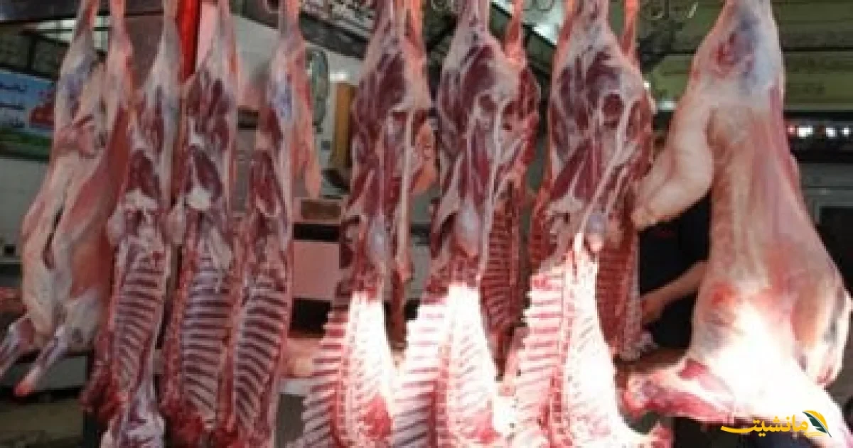 قفزة أم انخفاض؟.. أسعار اللحوم والدواجن والأسماك اليوم في سوهاج