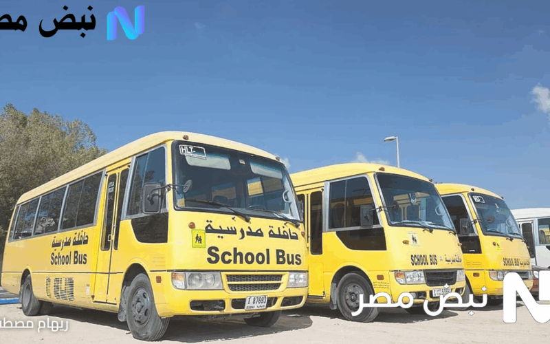 بشرى للسائقين.. يوم كامل بدون حوادث في الإمارات يُفعّل حوافز فورية