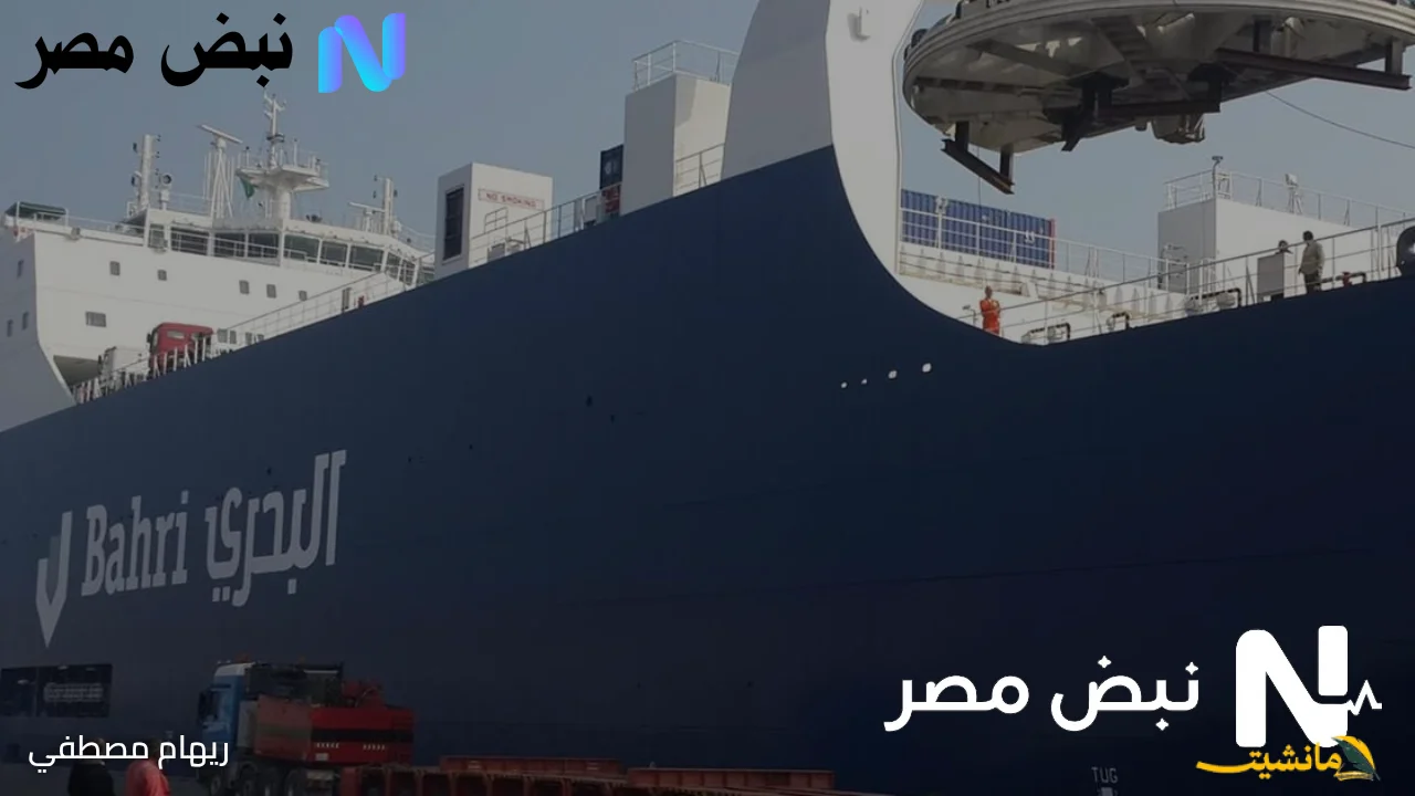 توضيح رسمي.. السفينة السعودية تنفي نقل شحنات إلى إسرائيل