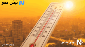 رسميًا.. قرار عاجل بتحويل الدراسة عن بُعد في الجامعات الأردنية بسبب الموجة الحارة