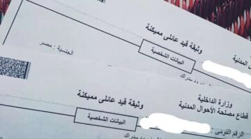 رسميًا.. القيد العائلي 2025: خطوات استخراجه مميكنًا وعاديًا وسعره