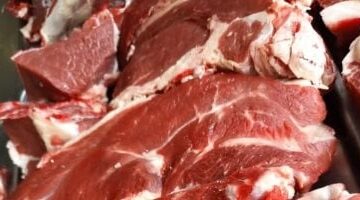 1755008434 202504161227262726