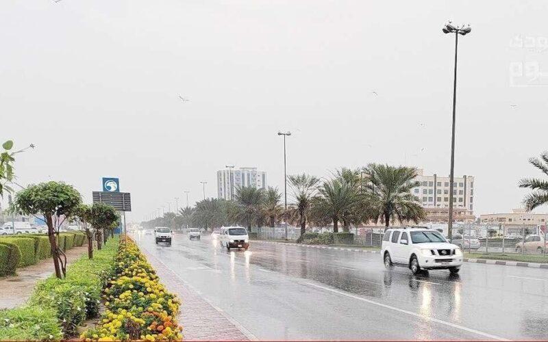 أمطار رعدية مُنتظرة.. تفاصيل حالة الطقس يوم الجمعة 15 أغسطس في السعودية