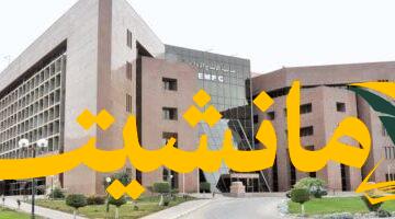 أرباح قياسية.. مدينة الإنتاج الإعلامي تحقق 25% زيادة في صافي أرباحها خلال الربع الثاني من 2025