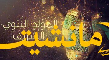فرحة قريبة..موعد عطلة المولد النبوي 2025 والإجازة الرسمية