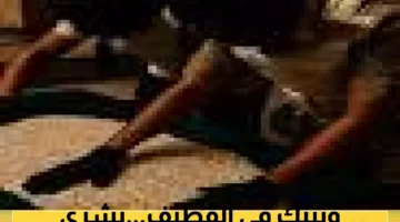 رسميًا.. 128 حيًا بالقطيف يدخلون نظام التسجيل العيني.. حلول لمشكلات الملاك بجلسة حوارية.