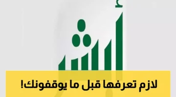 2025 08 12 1755014550857.webp