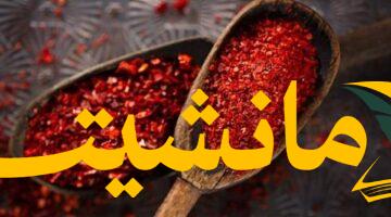غريب.. مسحوق الفلفل سلاح أمريكية للانتقام من حماتها