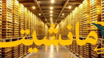 عاجل.. ارتفاع سعر الذهب عيار 24 يسجل قفزة جديدة في الأسواق اليوم