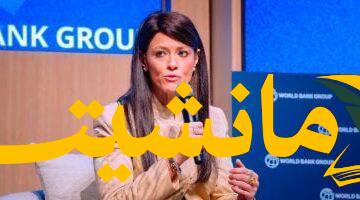 خدمات متكاملة.. مركز خدمات مصر يُقدم 156 خدمة بنهاية 2025