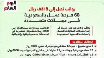 رواتب تصل إلى 8 آلاف ريال.. تعرف على  فرص العمل المتاحة في السعودية  (إنفوجراف)
