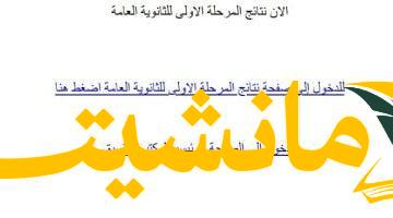 عاجل..  اعرف نتيجتك في تنسيق المرحلة الأولى برقم جلوسك الآن