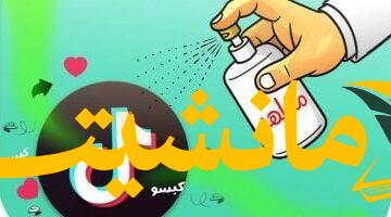 عاجل.. القبض على التيك توكر “أم عمر فراولة” بتهمة التعدي على القيم الأسرية