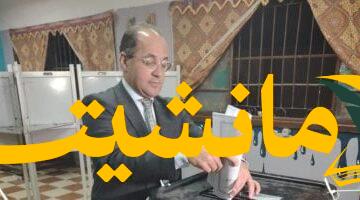 المشاركة الفعالة.. وزير المالية يدلي بصوته في انتخابات مجلس الشيوخ